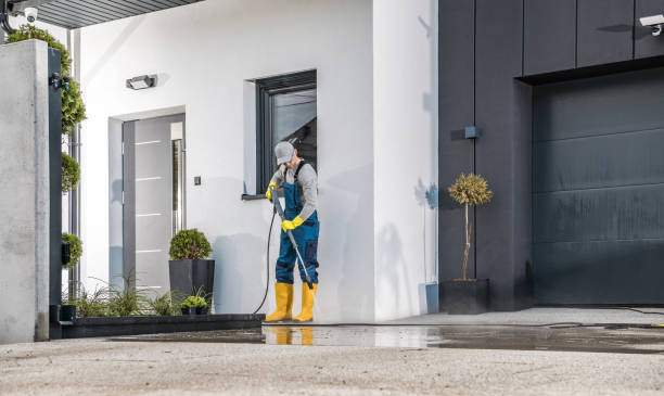 Best Solar Panel Cleaning  in Jal, NM